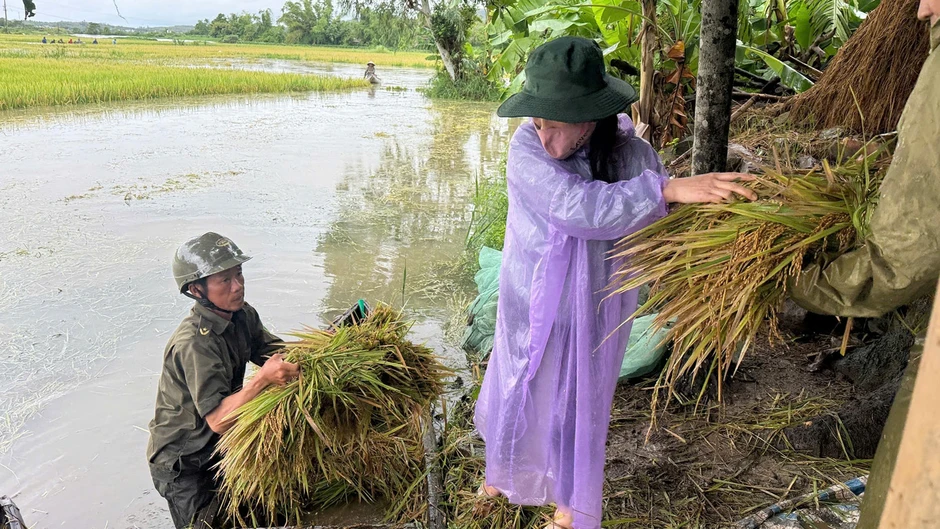 Mưa lớn kéo dài ở Đắk Lắk, sơ tán nhiều hộ dân, lúa ngập nặng Mưa lớn kéo dài ở Đắk Lắk, sơ tán nhiều hộ dân, lúa ngập nặng