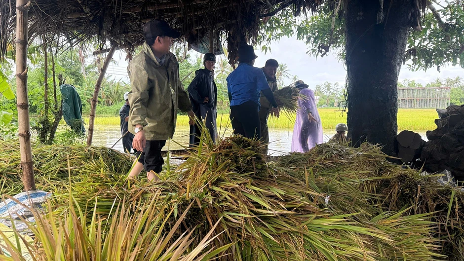Mưa lớn kéo dài ở Đắk Lắk, sơ tán nhiều hộ dân, lúa ngập nặng Mưa lớn kéo dài ở Đắk Lắk, sơ tán nhiều hộ dân, lúa ngập nặng