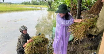 Mưa lớn kéo dài ở Đắk Lắk, sơ tán nhiều hộ dân, lúa ngập nặng