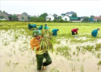 Mưa lớn làm 1 người bị thương và nhiều thiệt hại tại các địa phương