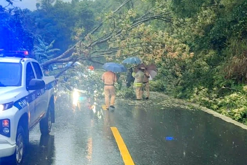 Mưa lớn làm cây đổ chắn ngang Quốc lộ 27 qua đèo Ngoạn Mục, Khánh Hòa