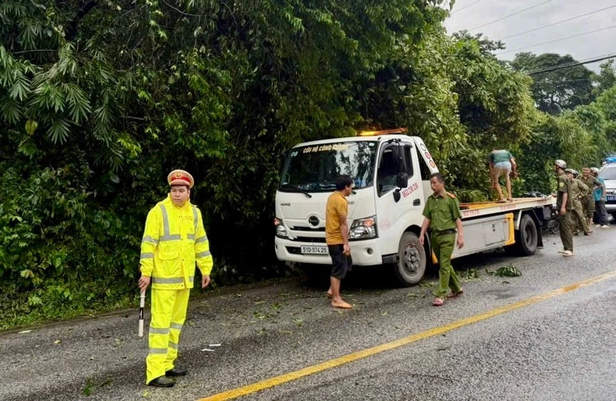 Mưa lớn làm nhiều cây rừng ngã đổ trên đèo Bảo Lộc Mưa lớn làm nhiều cây rừng ngã đổ trên đèo Bảo Lộc