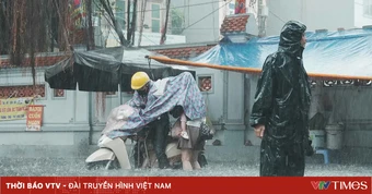 Mưa lớn ở vùng núi và trung du Bắc Bộ từ 14/6, có nơi trên 250mm