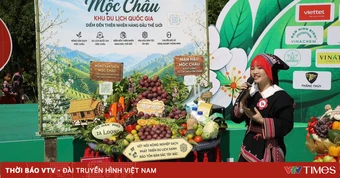 Mùa mận chín trên cao nguyên Mộc Châu