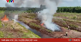 Mưa trái mùa ở Cà Mau làm tăng nguy cơ cháy rừng