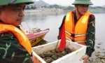 Mực nước sông Đà xuống thấp, lộ trụ cầu