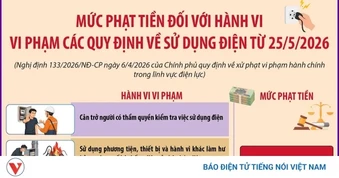 Mức phạt tiền đối với hành vi vi phạm các quy định về sử dụng điện từ 25/5/2026