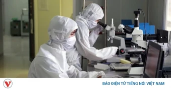 Muốn có “túi khôn”, phải tháo vòng kim cô cho đại học