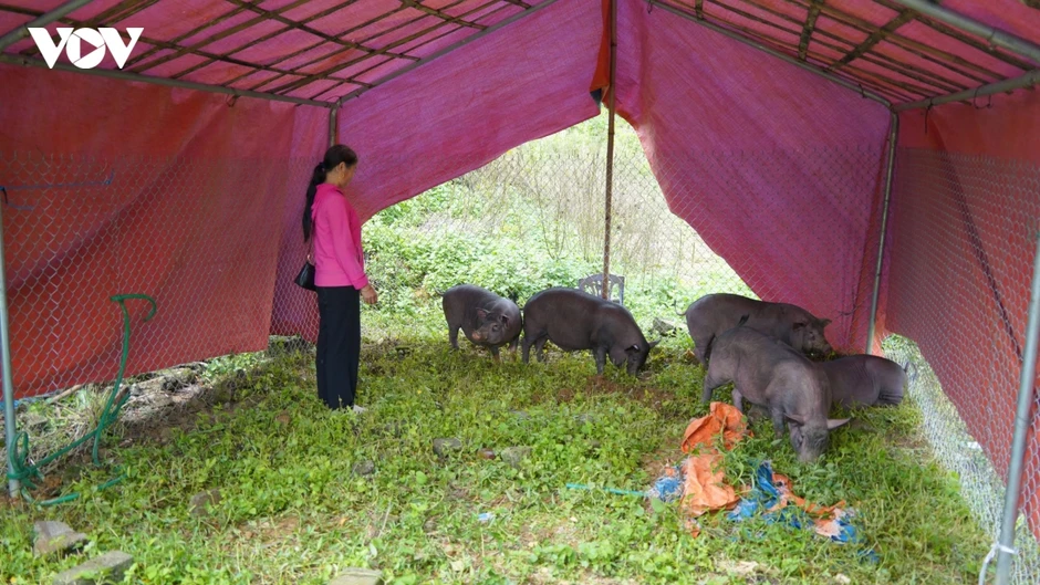 Mường Khương (Lào Cai) phát huy hiệu quả "4 tại chỗ" trong mưa lũ
