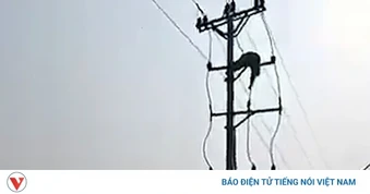 Nam sinh lớp 8 ở Nghệ An tử vong do điện giật
