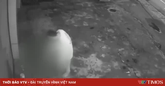 Nam thanh niên dùng đá đánh cụ già bán vé số bất tỉnh rồi lục túi lấy tài sản