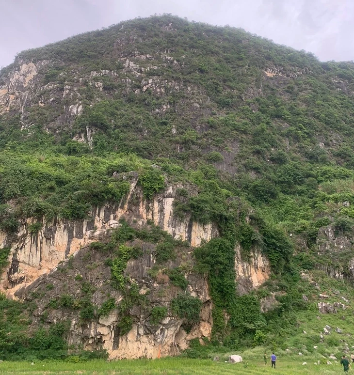 Nam thanh niên ngã tử vong khi leo núi lấy phong lan Nam thanh niên ngã tử vong khi leo núi lấy phong lan
