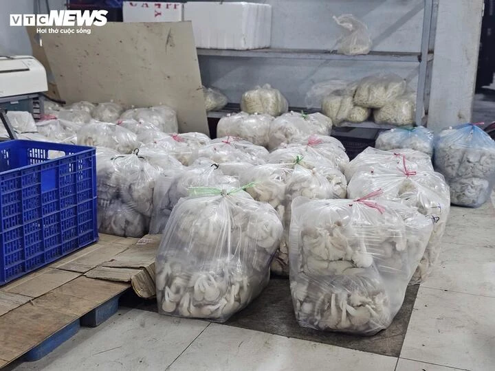 Nấm trôi nổi bủa vây chợ dân sinh TP.HCM: Người mua đang ‘đánh cược’ sức khỏe Nấm trôi nổi bủa vây chợ dân sinh TP.HCM: Người mua đang ‘đánh cược’ sức khỏe