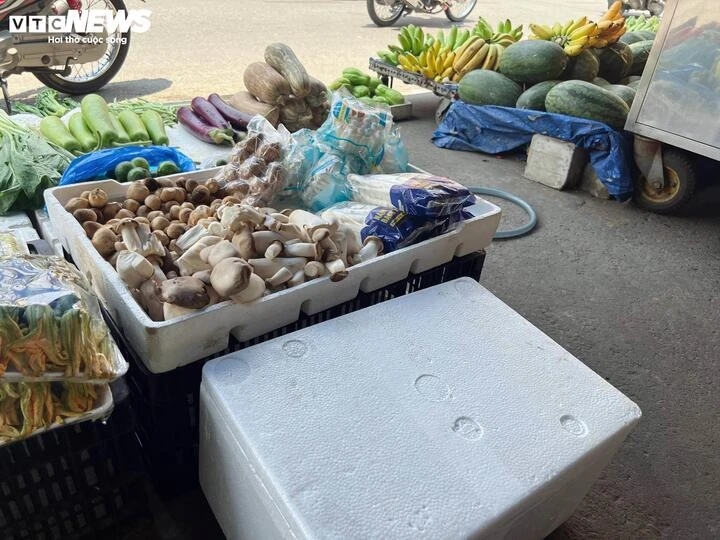 Nấm trôi nổi bủa vây chợ dân sinh TP.HCM: Người mua đang ‘đánh cược’ sức khỏe Nấm trôi nổi bủa vây chợ dân sinh TP.HCM: Người mua đang ‘đánh cược’ sức khỏe