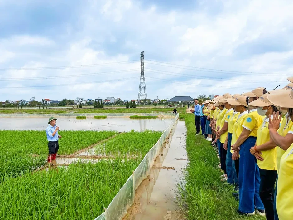 Nâng bước phụ nữ nông thôn Việt - Gieo yêu thương, gặt thành công Nâng bước phụ nữ nông thôn Việt - Gieo yêu thương, gặt thành công