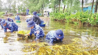 Nâng cao hiệu quả phòng ngừa, ứng phó thiên tai