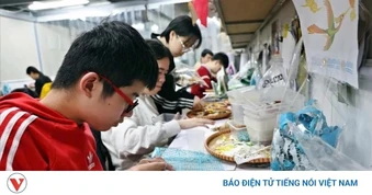 Nâng cao hiệu quả thực thi các quy định pháp luật về người khuyết tật