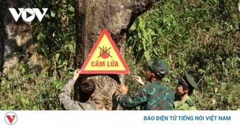 Nắng nóng gay gắt cục bộ, Sơn La tăng cường phòng, chống cháy rừng