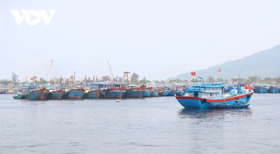 Nắng nóng gay gắt, Đà Nẵng chủ động phòng cháy chữa cháy tại âu thuyền, cảng cá Nắng nóng gay gắt, Đà Nẵng chủ động phòng cháy chữa cháy tại âu thuyền, cảng cá
