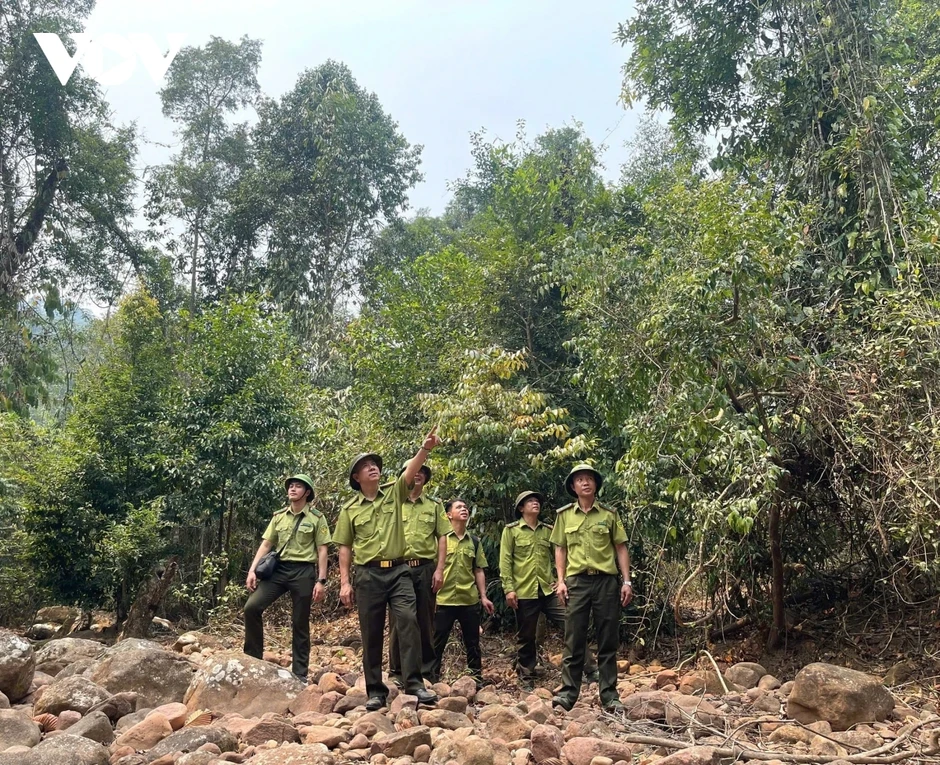 Nắng nóng gay gắt diện rộng, Sơn La canh phòng 24/24h để chống cháy rừng Nắng nóng gay gắt diện rộng, Sơn La canh phòng 24/24h để chống cháy rừng