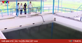 Nâng tỷ lệ nước sạch nông thôn, giám sát chặt chẽ nguồn nước
