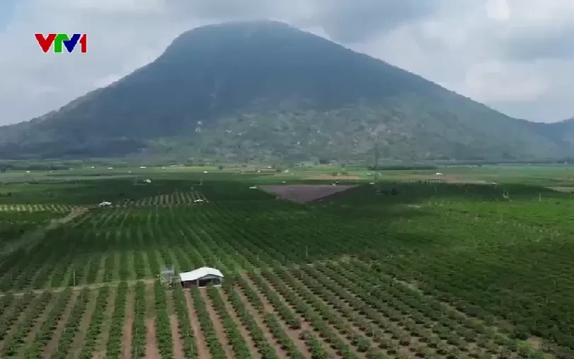 Ngăn chặn leo núi và khám phá rừng trái phép ở núi Bà Đen Ngăn chặn leo núi và khám phá rừng trái phép ở núi Bà Đen