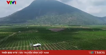 Ngăn chặn leo núi và khám phá rừng trái phép ở núi Bà Đen