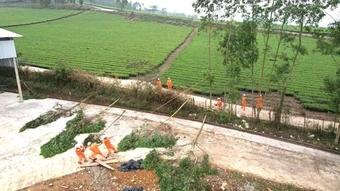 Ngành điện Lào Cai chủ động phòng chống thiên tai năm 2026