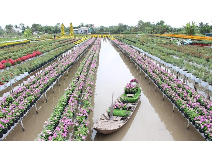 Ngành du lịch tỉnh Đồng Tháp "ngược dòng" ngoạn mục Ngành du lịch tỉnh Đồng Tháp "ngược dòng" ngoạn mục