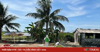 Nghệ An ban hành Công điện khẩn về phòng chống dịch Cúm gia cầm