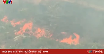 Nghệ An cảnh báo nguy cơ cháy rừng cực kỳ nguy hiểm do nắng nóng kéo dài
