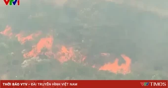 Nghệ An chỉ đạo triển khai quyết liệt các biện pháp cấp bách phòng cháy rừng