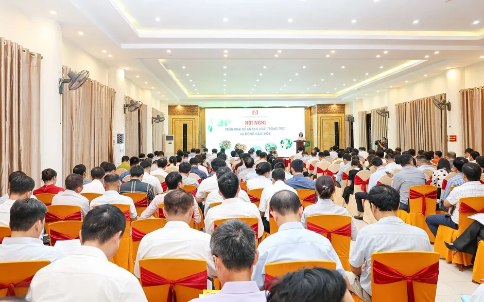 Nghệ An: Chủ động phòng, chống thiên tai và sâu bệnh, bảo vệ năng suất Vụ Đông 2026 Nghệ An: Chủ động phòng, chống thiên tai và sâu bệnh, bảo vệ năng suất Vụ Đông 2026
