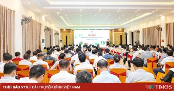 Nghệ An: Chủ động phòng, chống thiên tai và sâu bệnh, bảo vệ năng suất Vụ Đông 2026