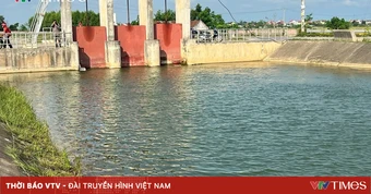 Nghệ An: Chưa rõ nguyên nhân cá chết, người dân lo ngại nguồn nước sinh hoạt bị ảnh hưởng