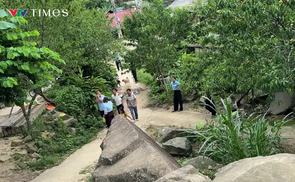 Nghệ An: Đào núi nơi biên giới được mùa, mở ra hướng phát triển kinh tế cho đồng bào dân tộc Nghệ An: Đào núi nơi biên giới được mùa, mở ra hướng phát triển kinh tế cho đồng bào dân tộc