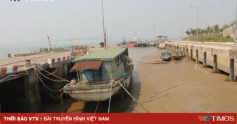 Nghệ An: Đầu tư nâng cấp trăm tỷ, cảng cá vẫn không sử dụng hết công năng