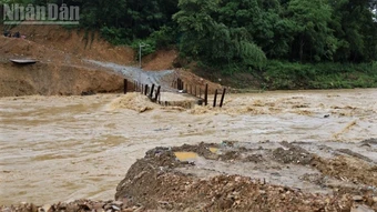 Nghệ An: Hơn 300 hộ dân bị cô lập do cầu tạm bị nước lũ cuốn trôi