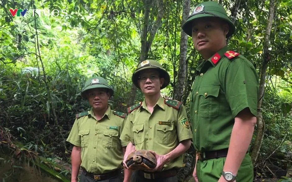 Nghệ An: Liên tiếp “giải cứu” nhiều động vật quý hiếm, thả về môi trường tự nhiên Nghệ An: Liên tiếp “giải cứu” nhiều động vật quý hiếm, thả về môi trường tự nhiên