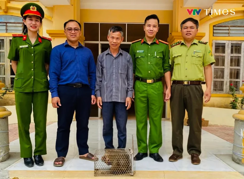 Nghệ An: Liên tiếp “giải cứu” nhiều động vật quý hiếm, thả về môi trường tự nhiên Nghệ An: Liên tiếp “giải cứu” nhiều động vật quý hiếm, thả về môi trường tự nhiên