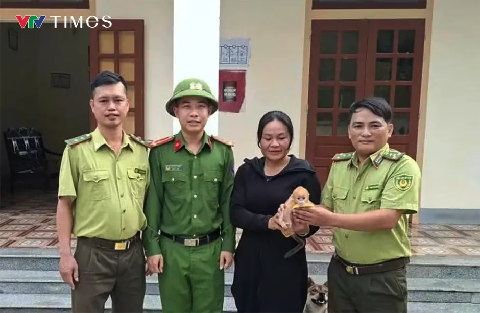 Nghệ An: Liên tiếp “giải cứu” nhiều động vật quý hiếm, thả về môi trường tự nhiên Nghệ An: Liên tiếp “giải cứu” nhiều động vật quý hiếm, thả về môi trường tự nhiên