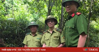Nghệ An: Liên tiếp “giải cứu” nhiều động vật quý hiếm, thả về môi trường tự nhiên