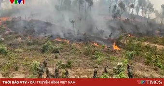 Nghệ An tăng cường cán bộ, chiến sĩ tích cực dập tắt cháy rừng