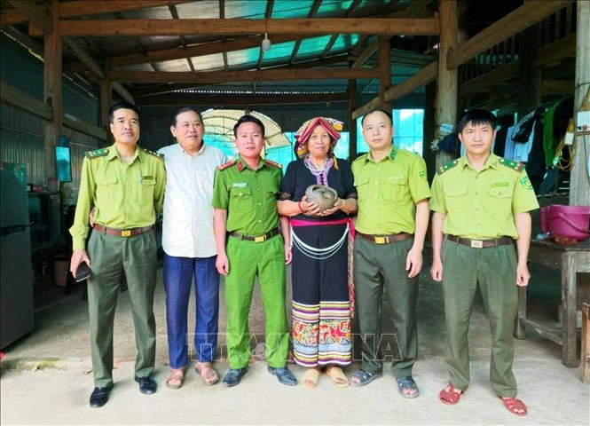 Nghệ An: Thả 1 cá thể tê tê quý hiếm về môi trường tự nhiên Nghệ An: Thả 1 cá thể tê tê quý hiếm về môi trường tự nhiên