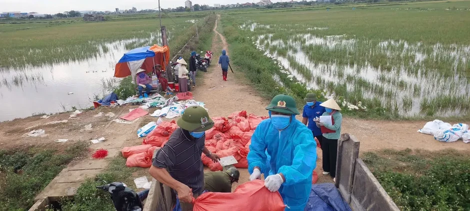 Nghệ An: Thành lập tổ phản ứng nhanh, thu gom gia cầm nhiễm H5N1 Nghệ An: Thành lập tổ phản ứng nhanh, thu gom gia cầm nhiễm H5N1