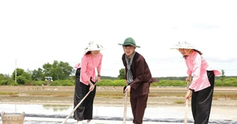Nghề muối chuyển mình