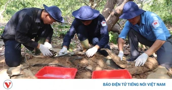 Nghĩa tình quốc tế và vòng tay đất mẹ