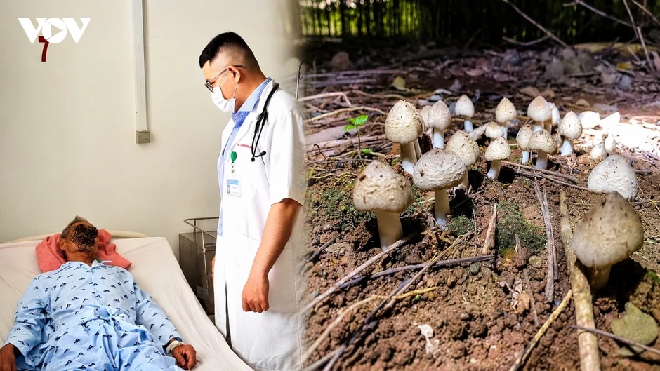 Ngộ độc sau khi ăn nấm lạ, nhiều người phải nhập viện ở Tây Ninh Ngộ độc sau khi ăn nấm lạ, nhiều người phải nhập viện ở Tây Ninh