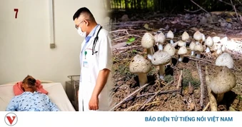 Ngộ độc sau khi ăn nấm lạ, nhiều người phải nhập viện ở Tây Ninh