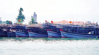 Ngư dân gặp khó vì giá nhiên liệu tăng cao